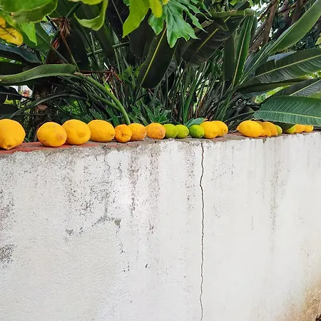 Casinha Peral Country Σπίτι διακοπών *
